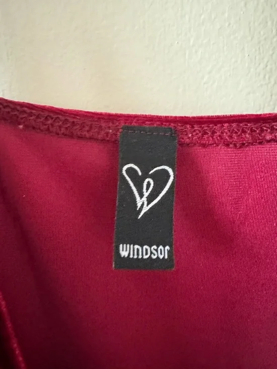 Windsor Wine Velvet Draped Mini Slip Dress - Picture 2 of 2